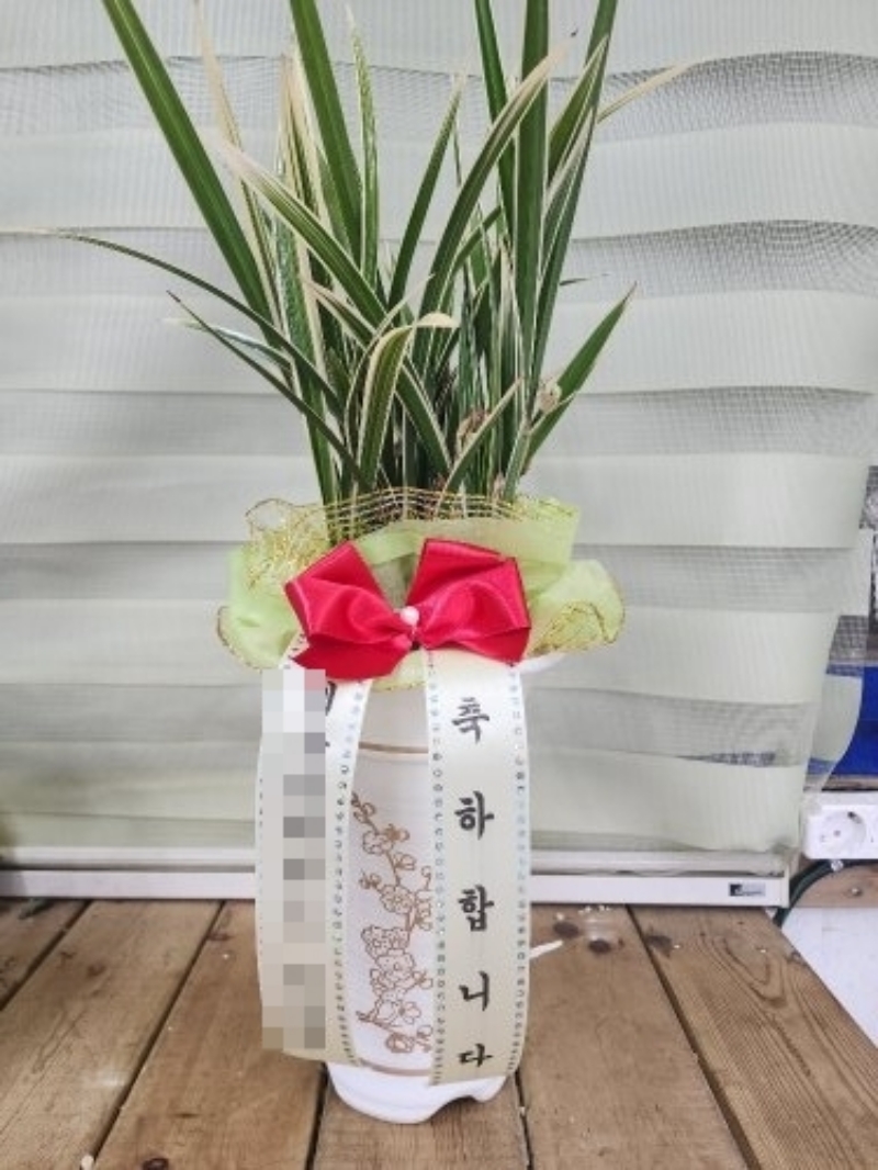 배송 완료 사진 4