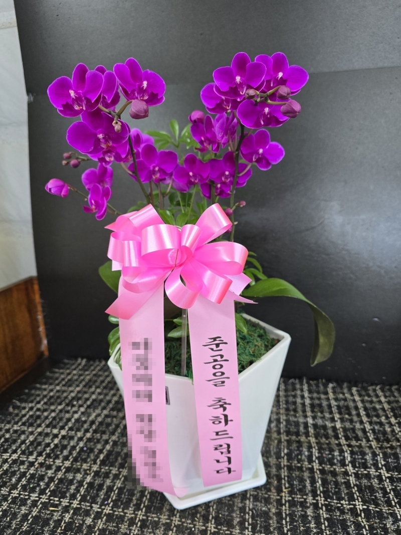 배송 완료 사진 3