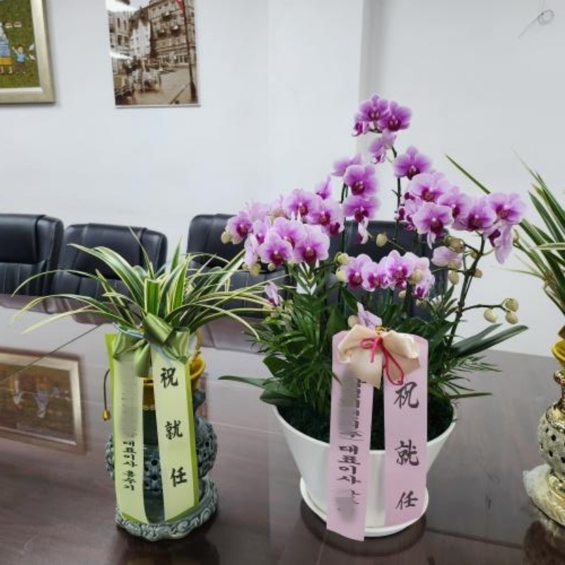 배송 완료 사진 7