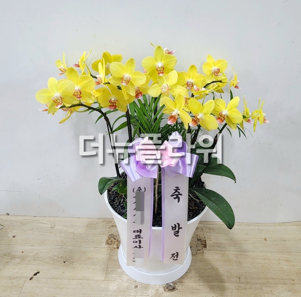 배송 완료 사진 82