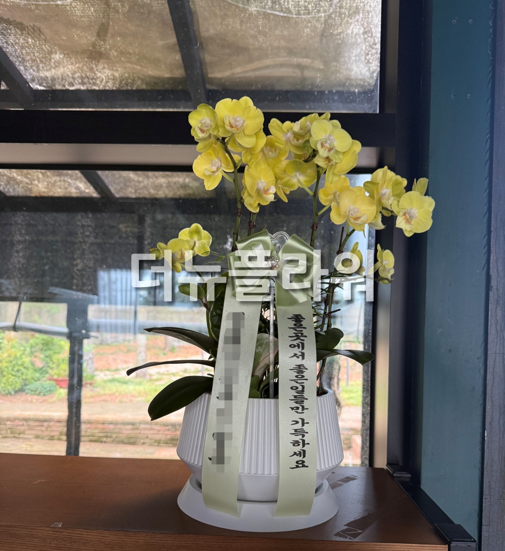 배송 완료 사진 50