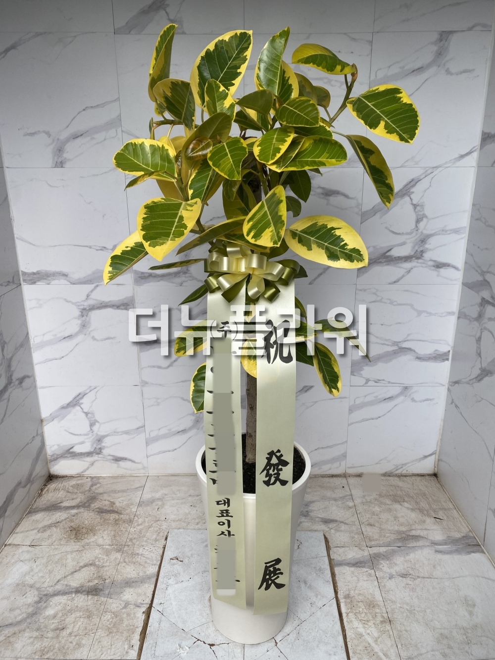 배송 완료 사진 47