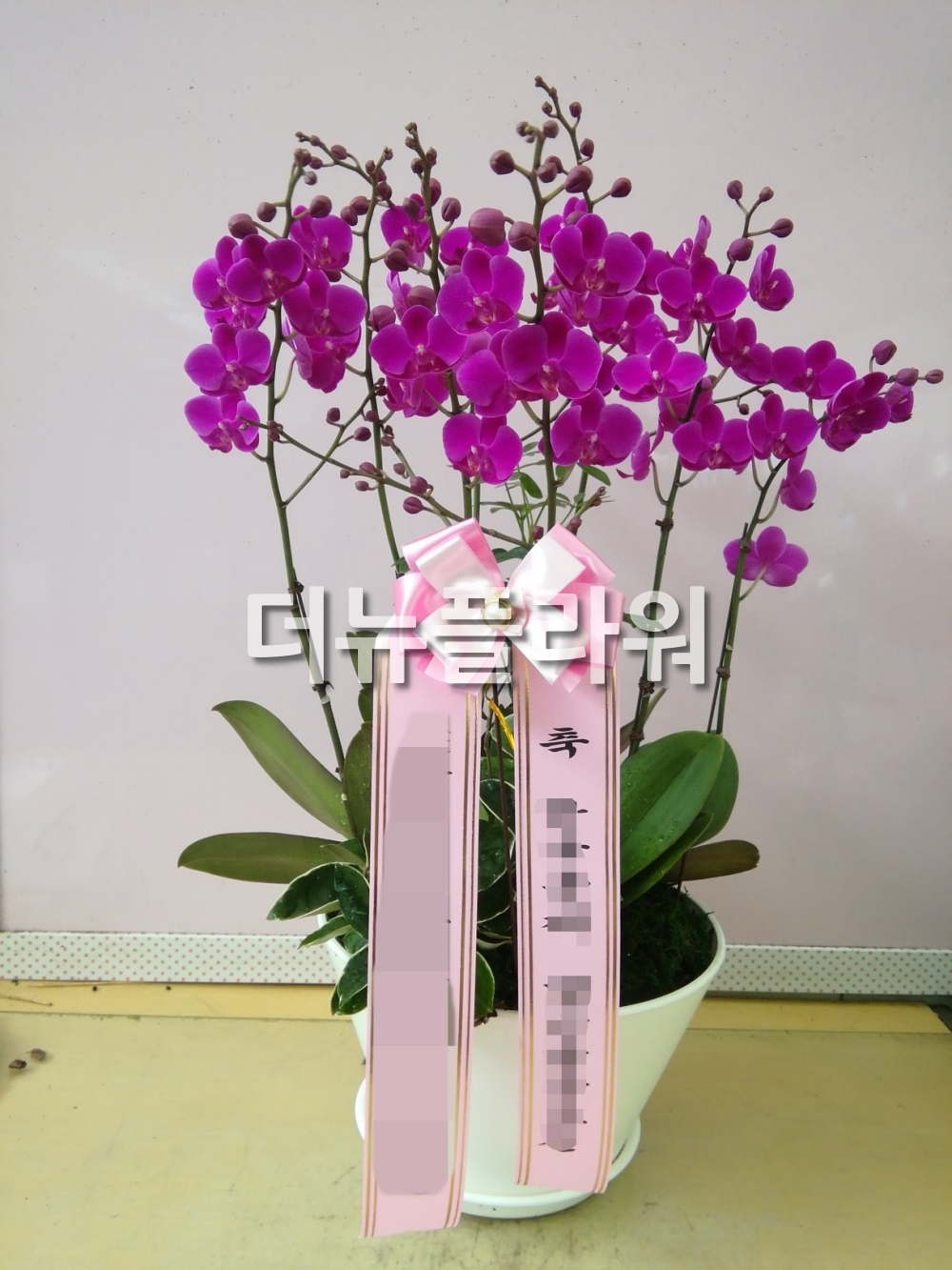 배송 완료 사진 57