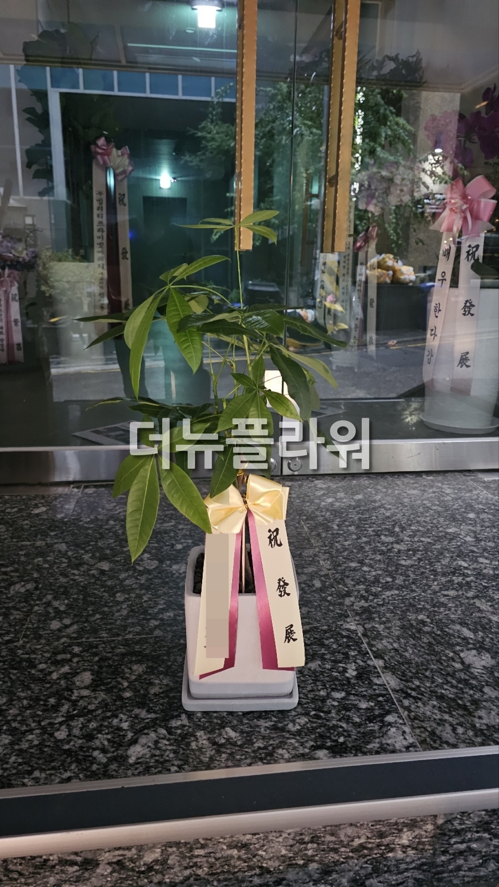 배송 완료 사진 15