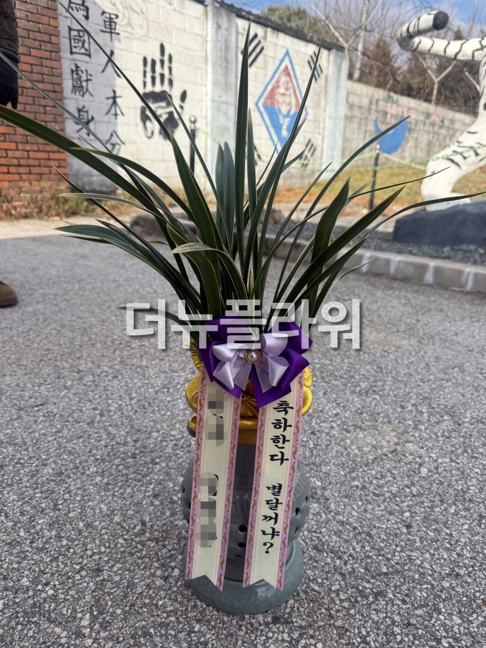 배송 완료 사진 41