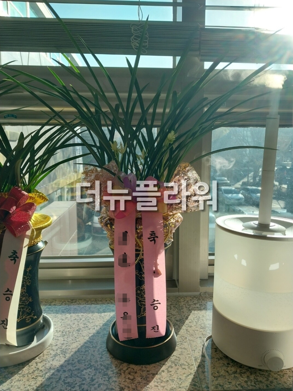 배송 완료 사진 1