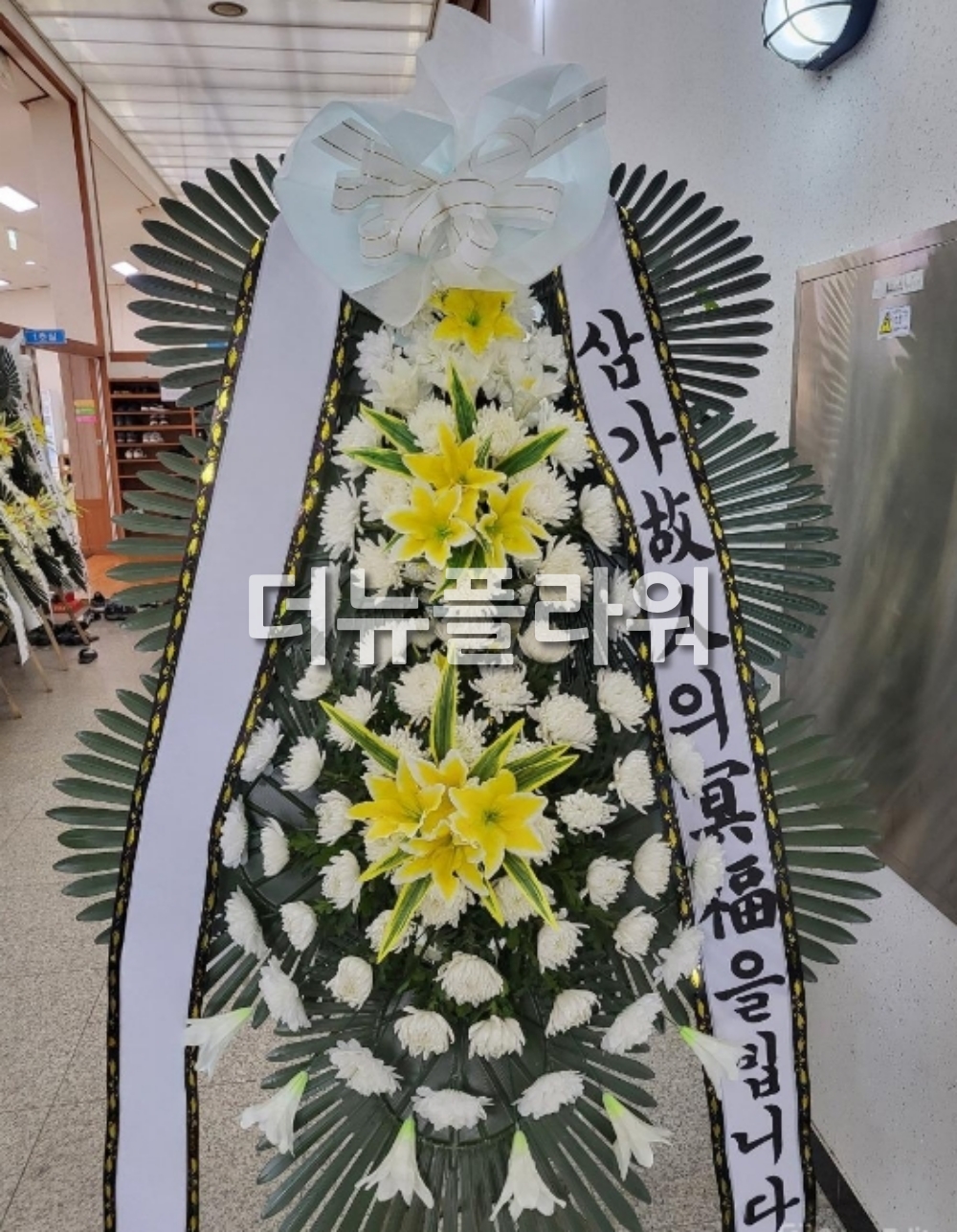 배송 완료 사진 100