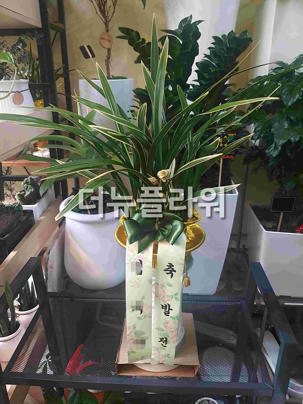 배송 완료 사진 86