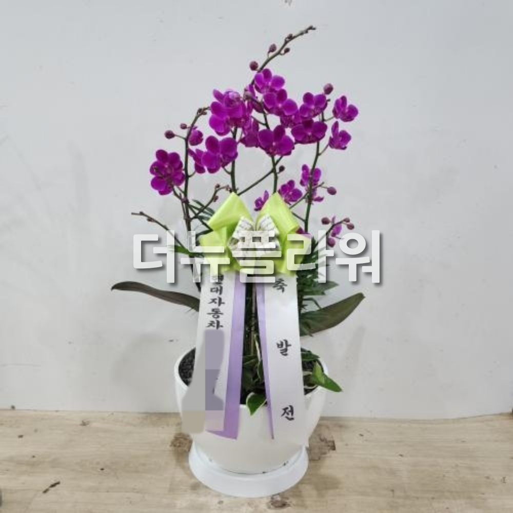 배송 완료 사진 96