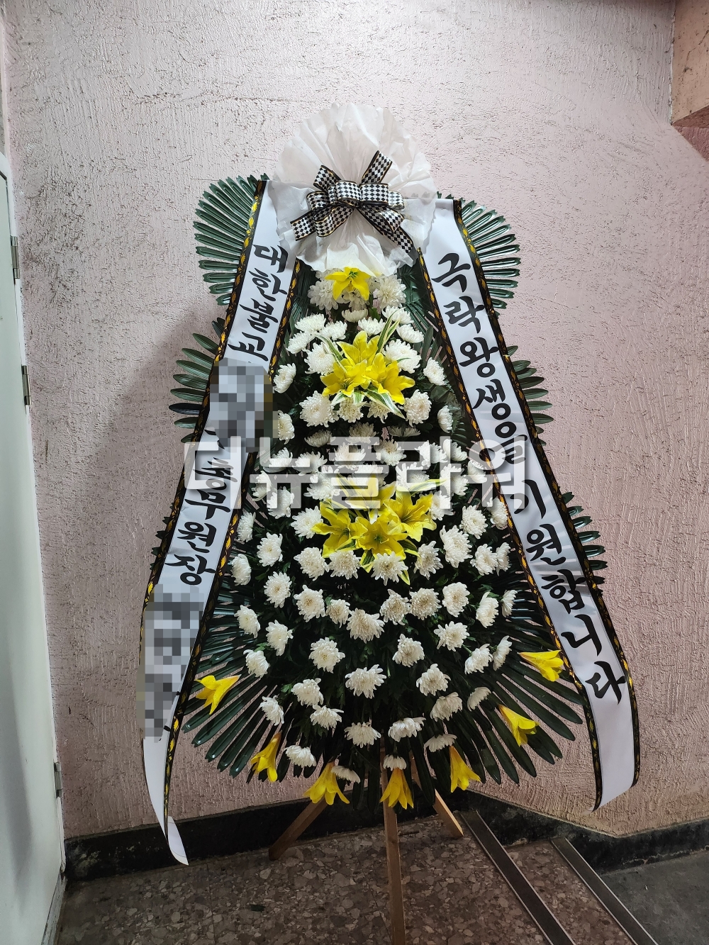 배송 완료 사진 41