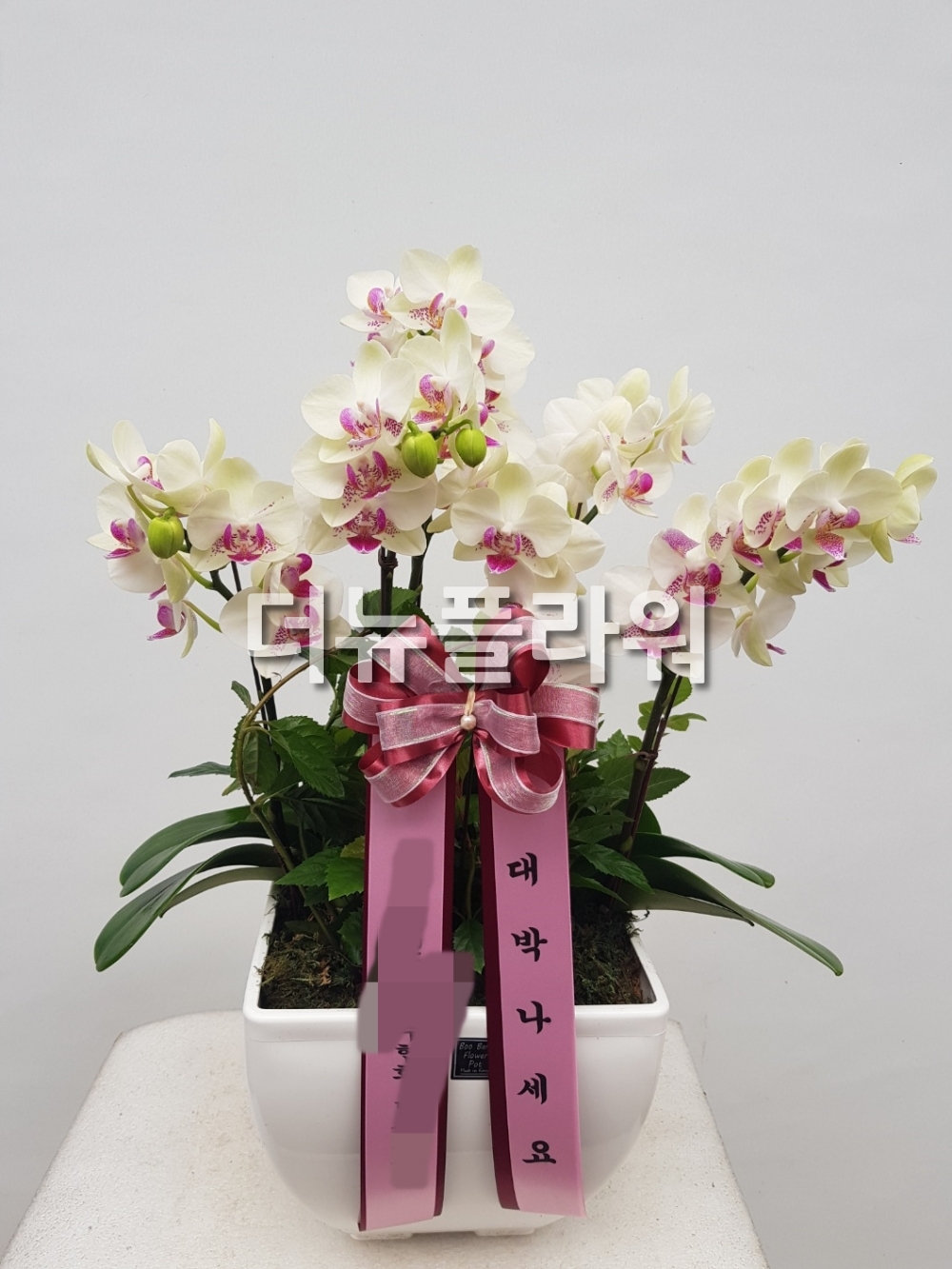 배송 완료 사진 56