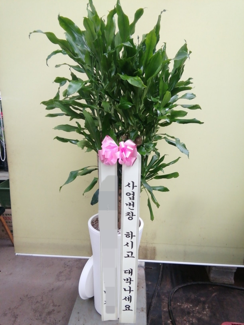 배송 완료 사진 23