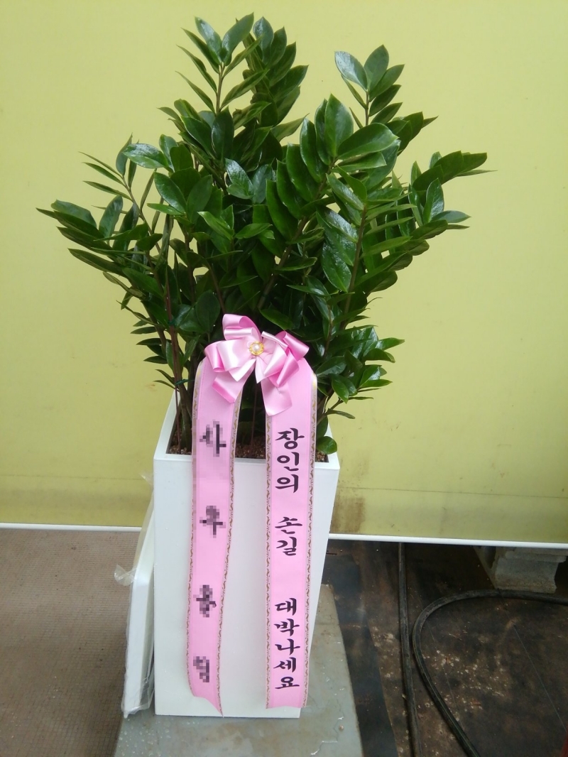 배송 완료 사진 10