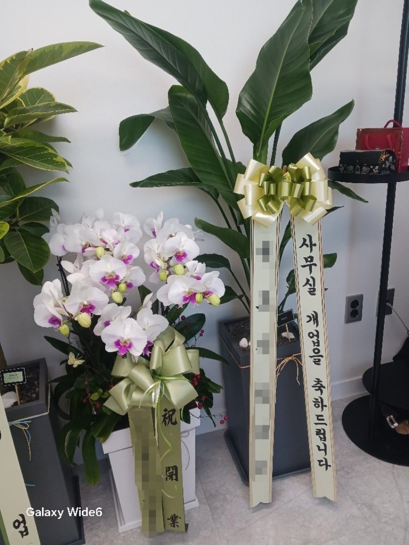 배송 완료 사진 20