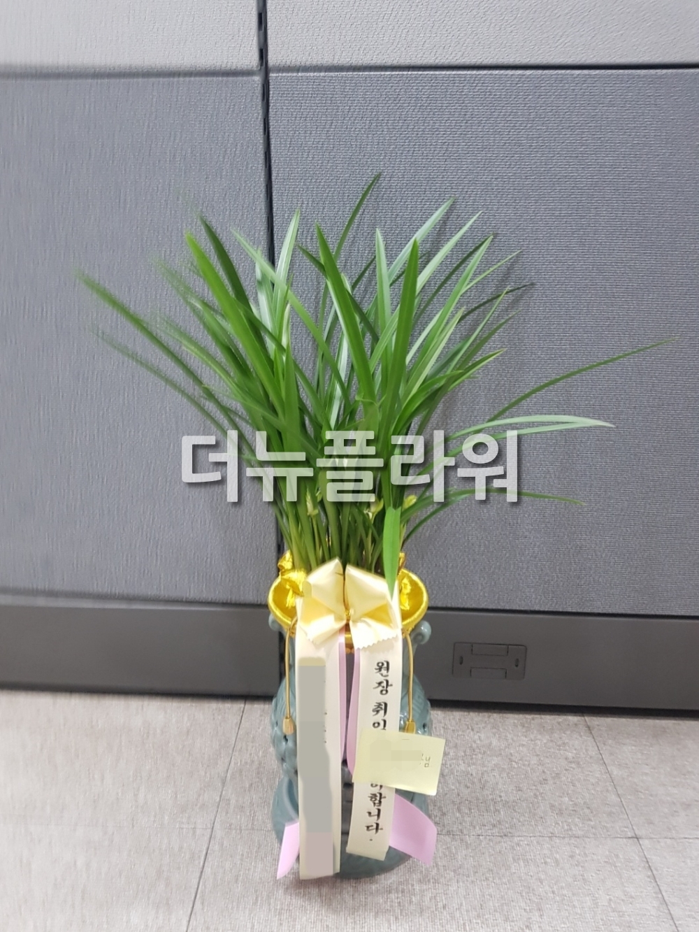 배송 완료 사진 69