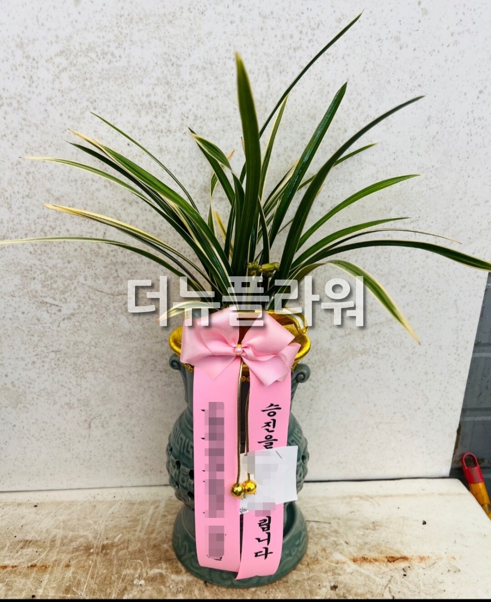 배송 완료 사진 85