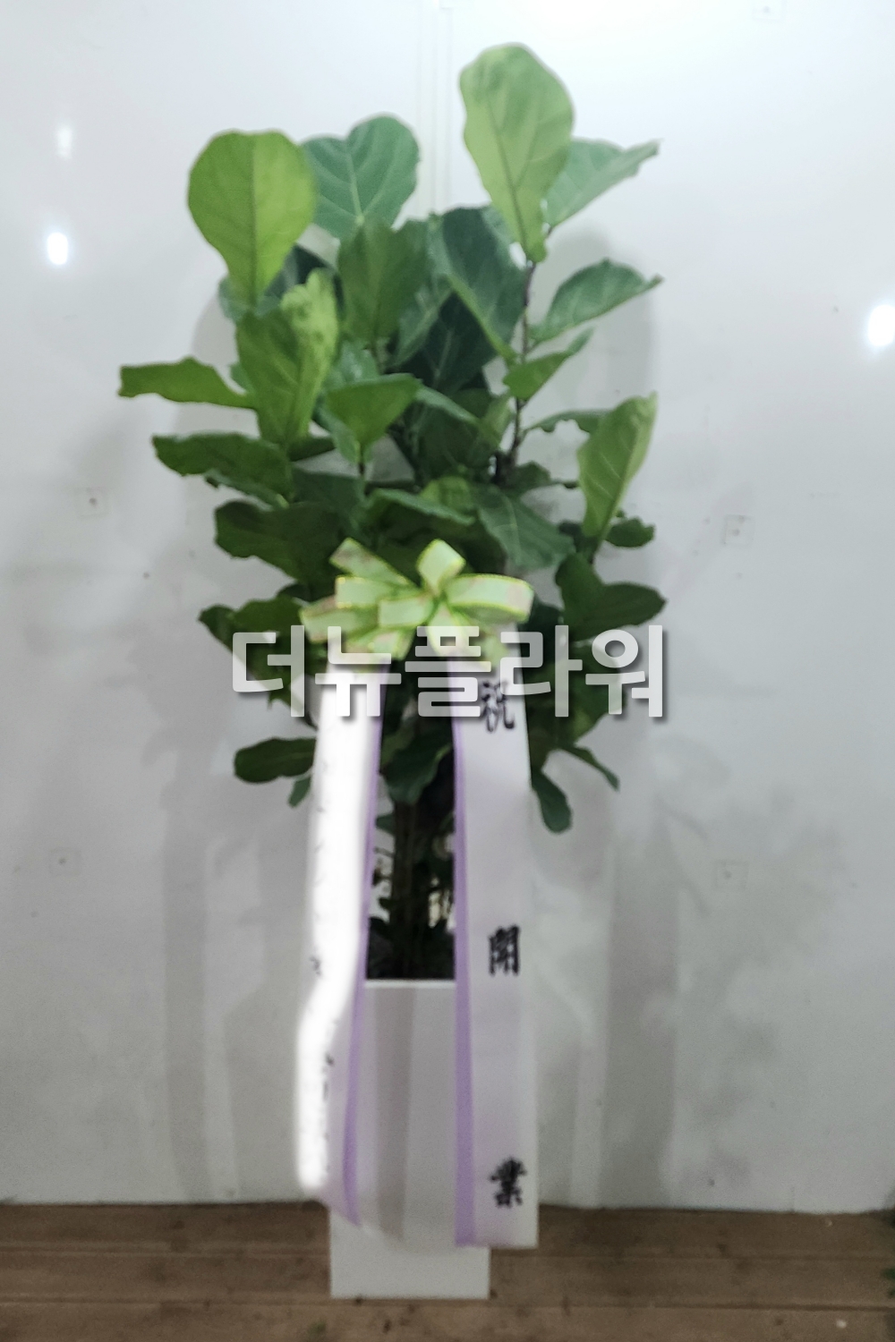 배송 완료 사진 79
