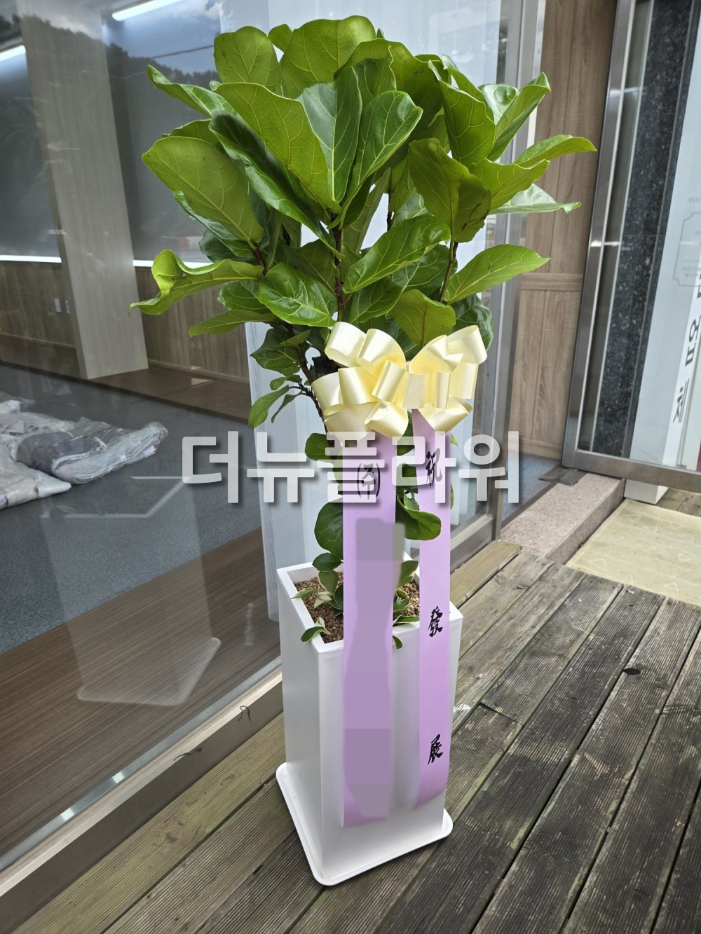 배송 완료 사진 89