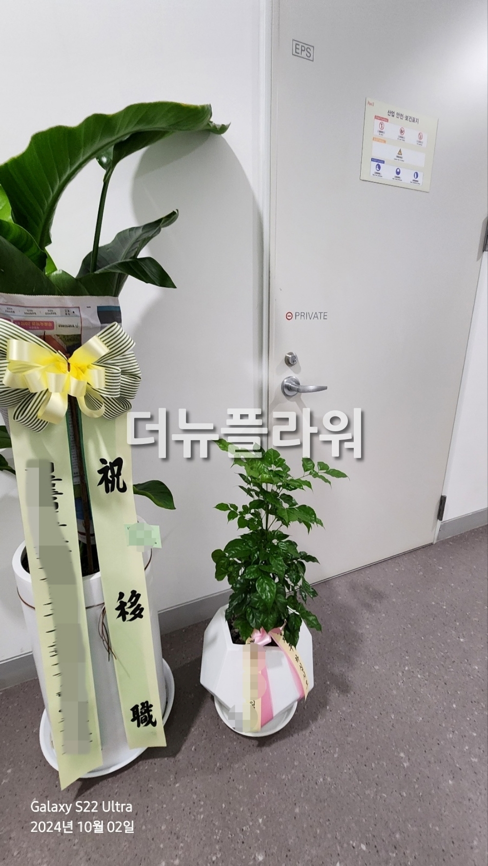 배송 완료 사진 86