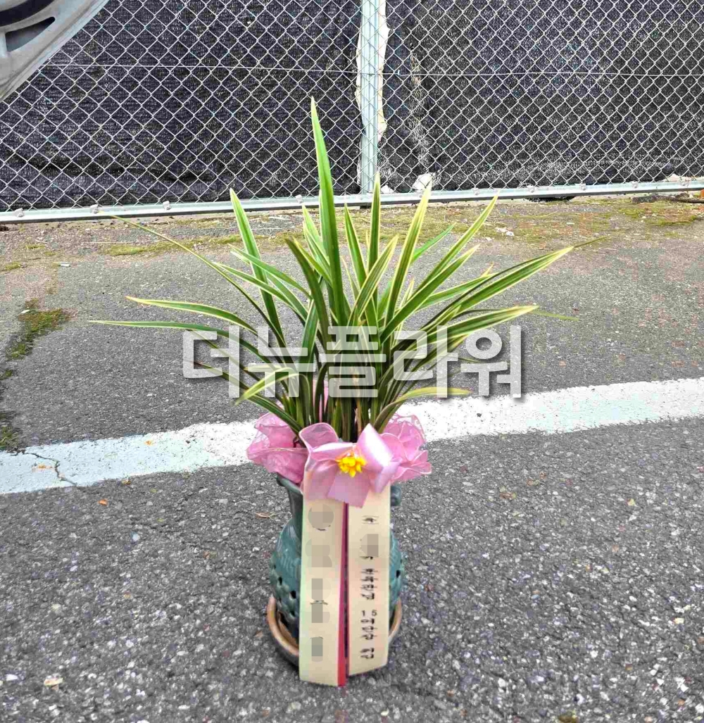 배송 완료 사진 4