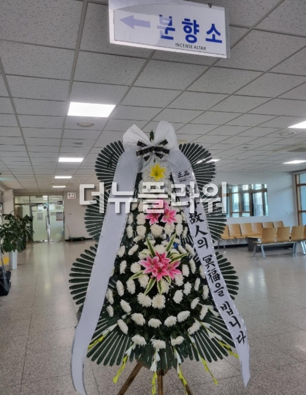 배송 완료 사진 48
