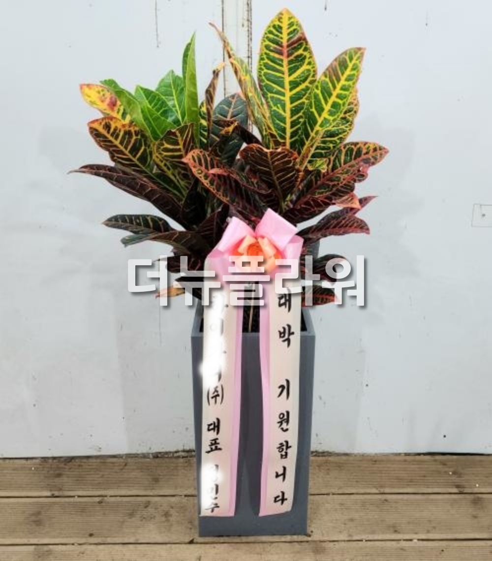 배송 완료 사진 31