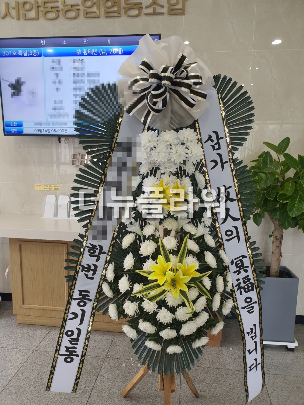 배송 완료 사진 19