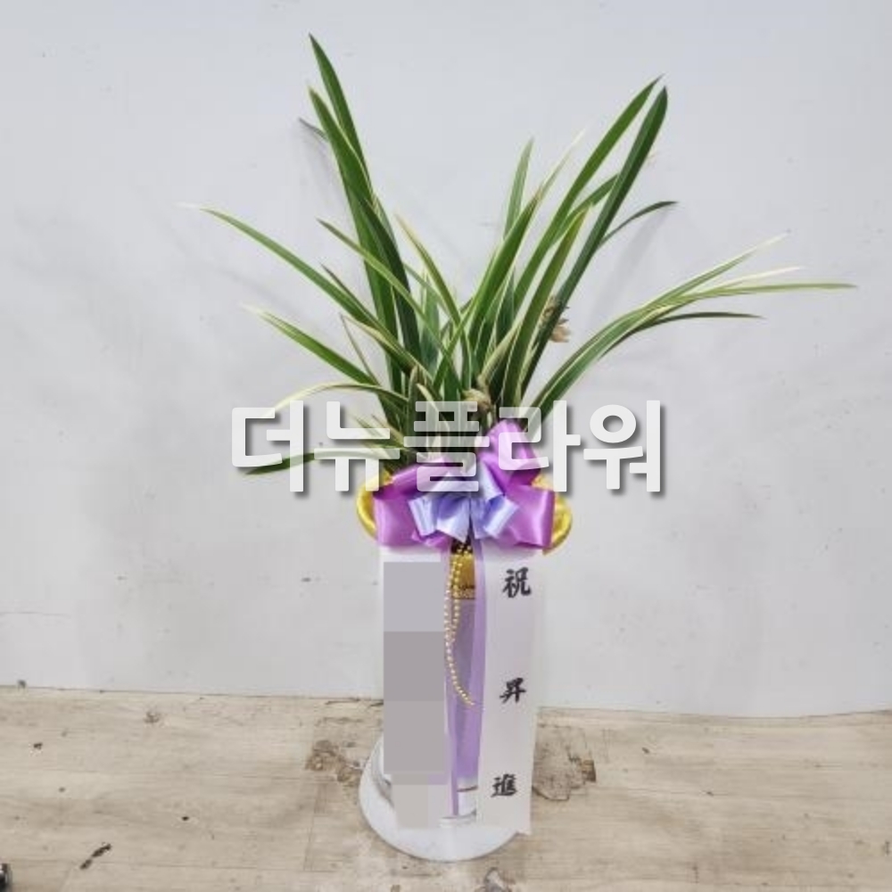 배송 완료 사진 62