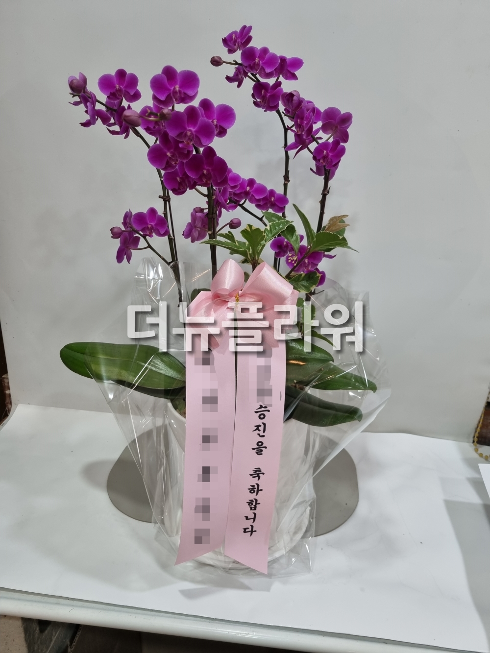 배송 완료 사진 44