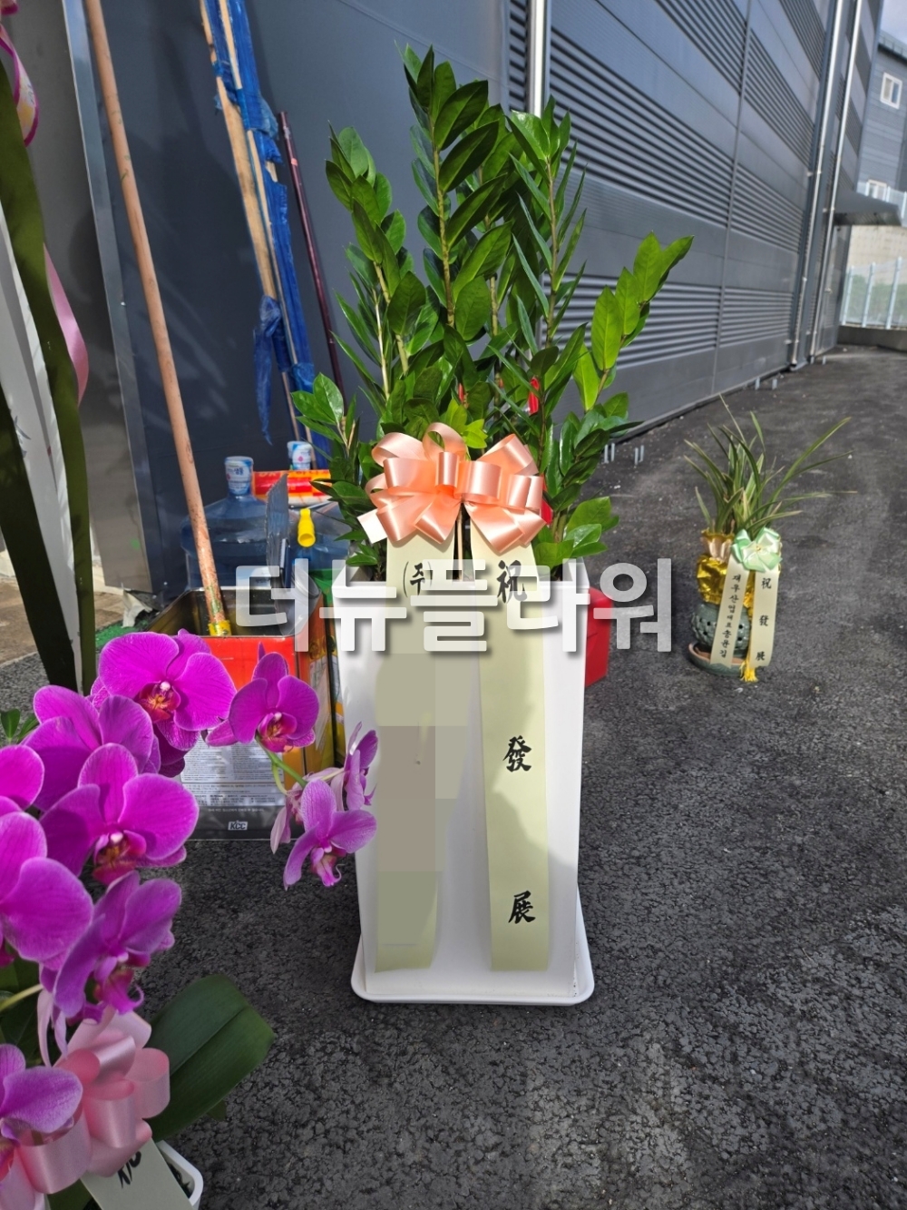 배송 완료 사진 24