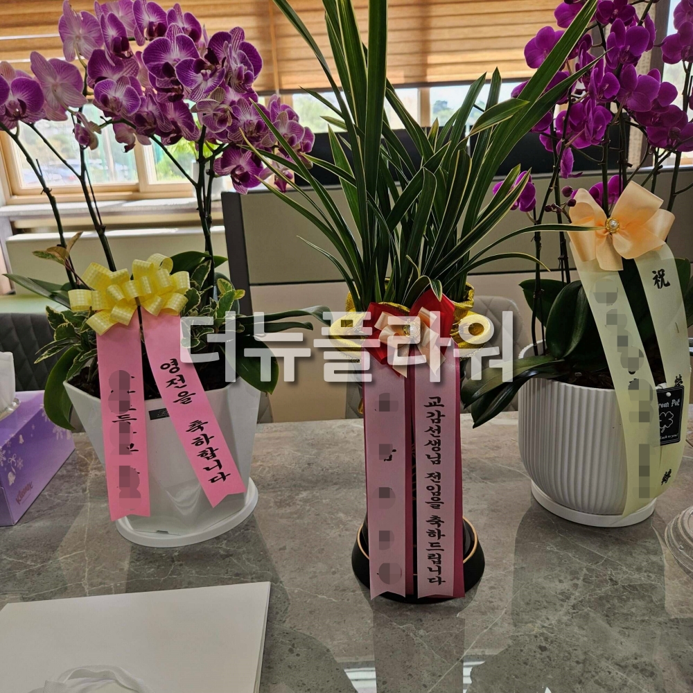 배송 완료 사진 56