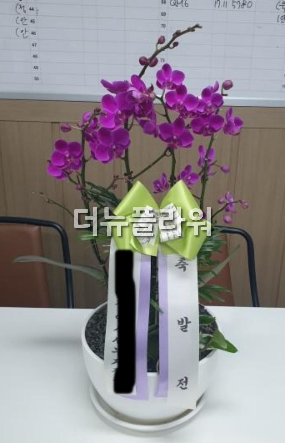 배송 완료 사진 22