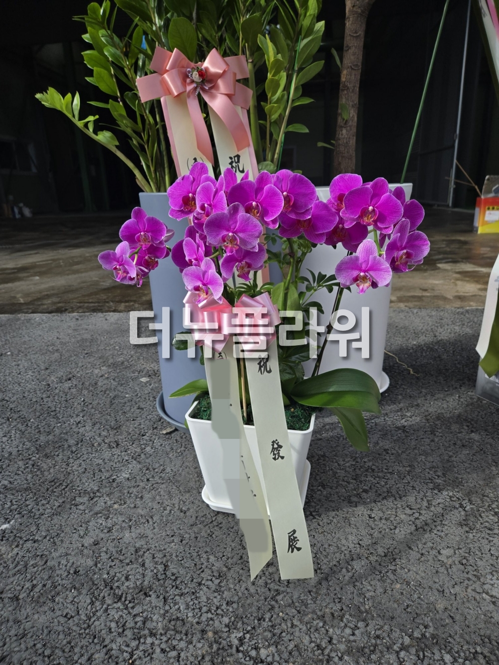 배송 완료 사진 67