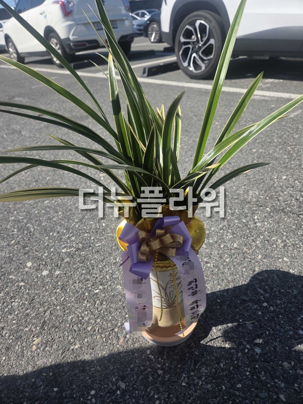 배송 완료 사진 17