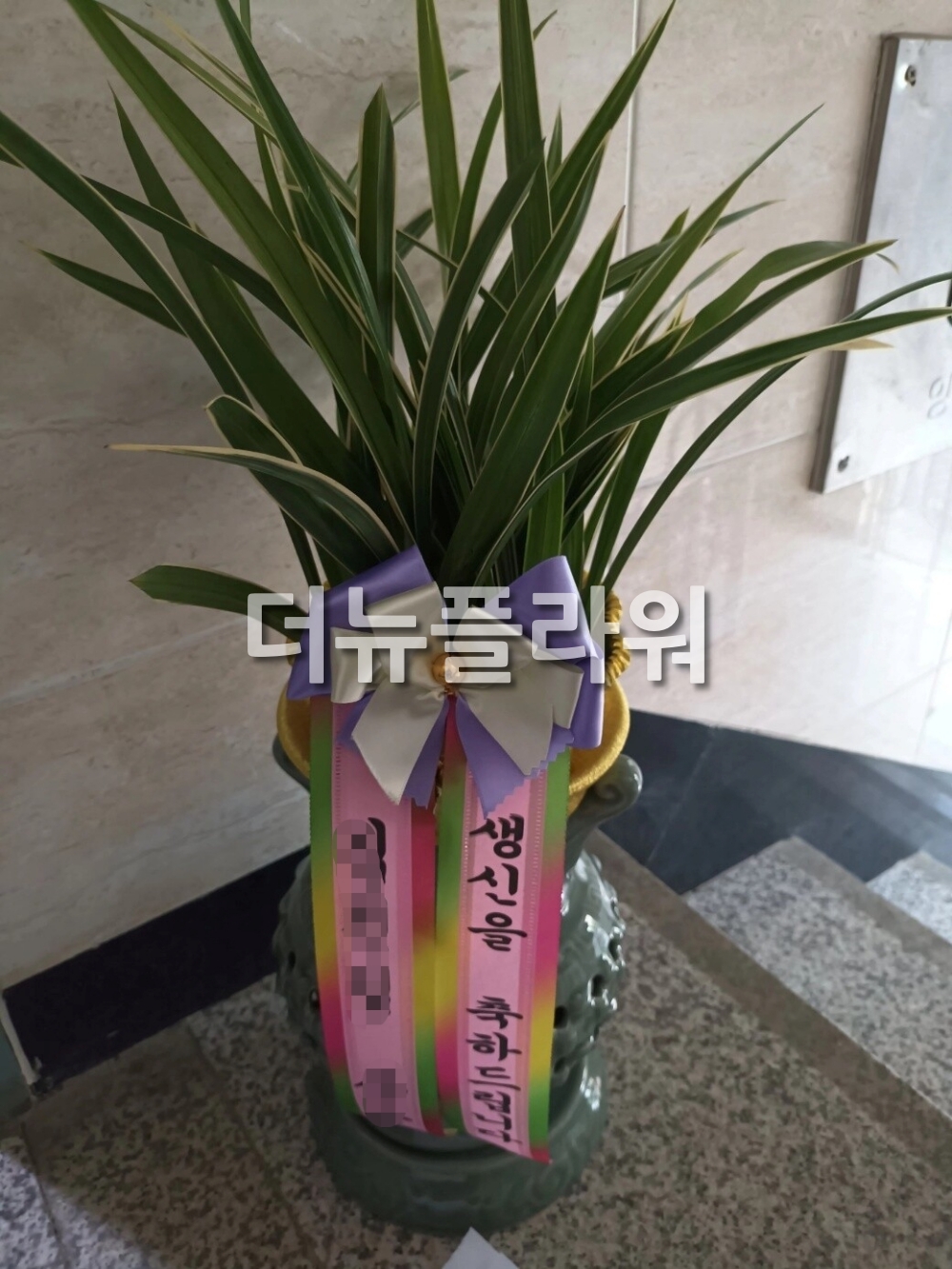배송 완료 사진 63