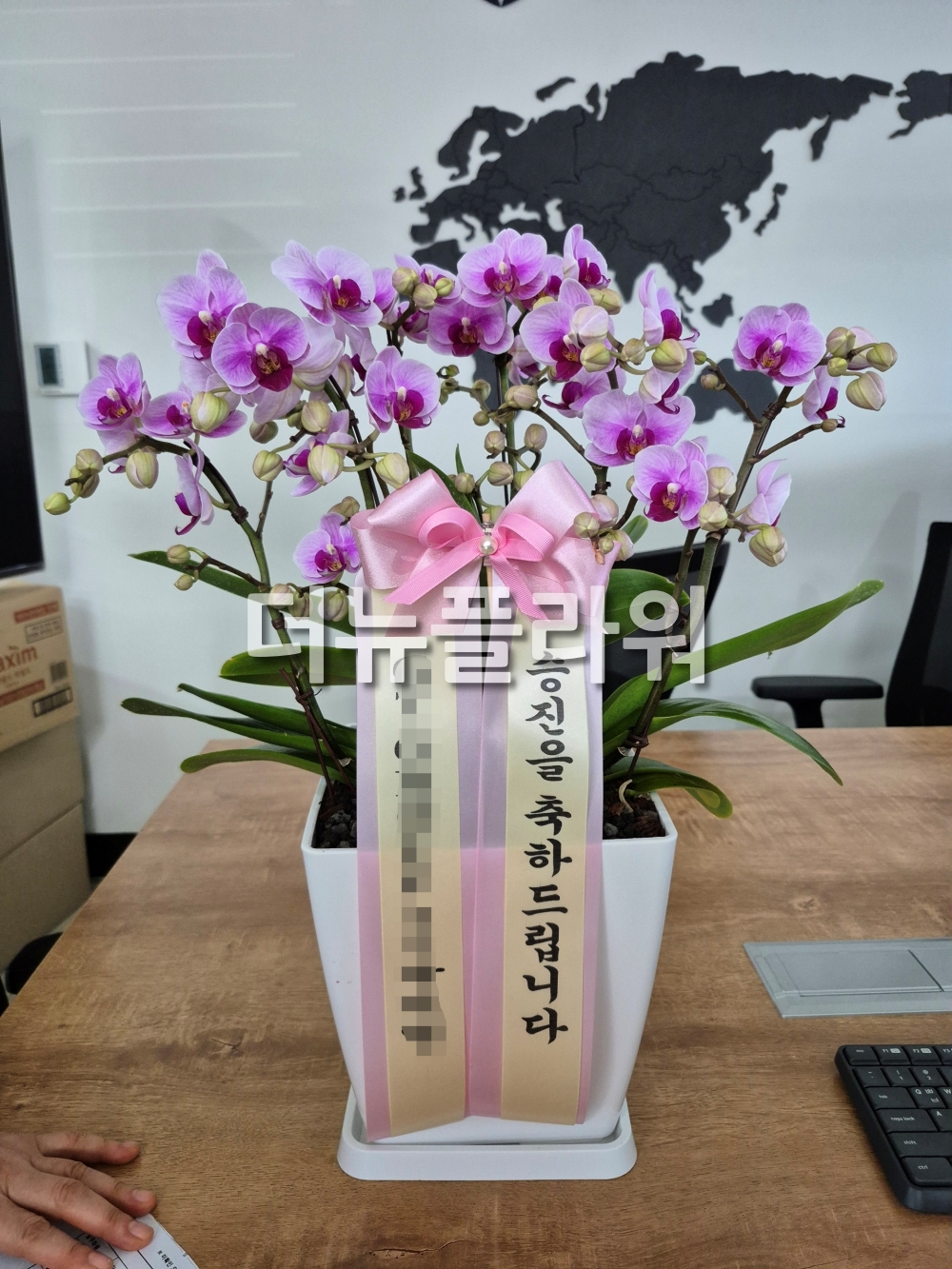 배송 완료 사진 7