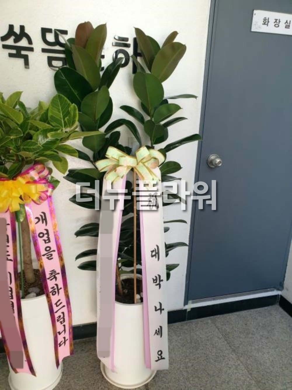 배송 완료 사진 47