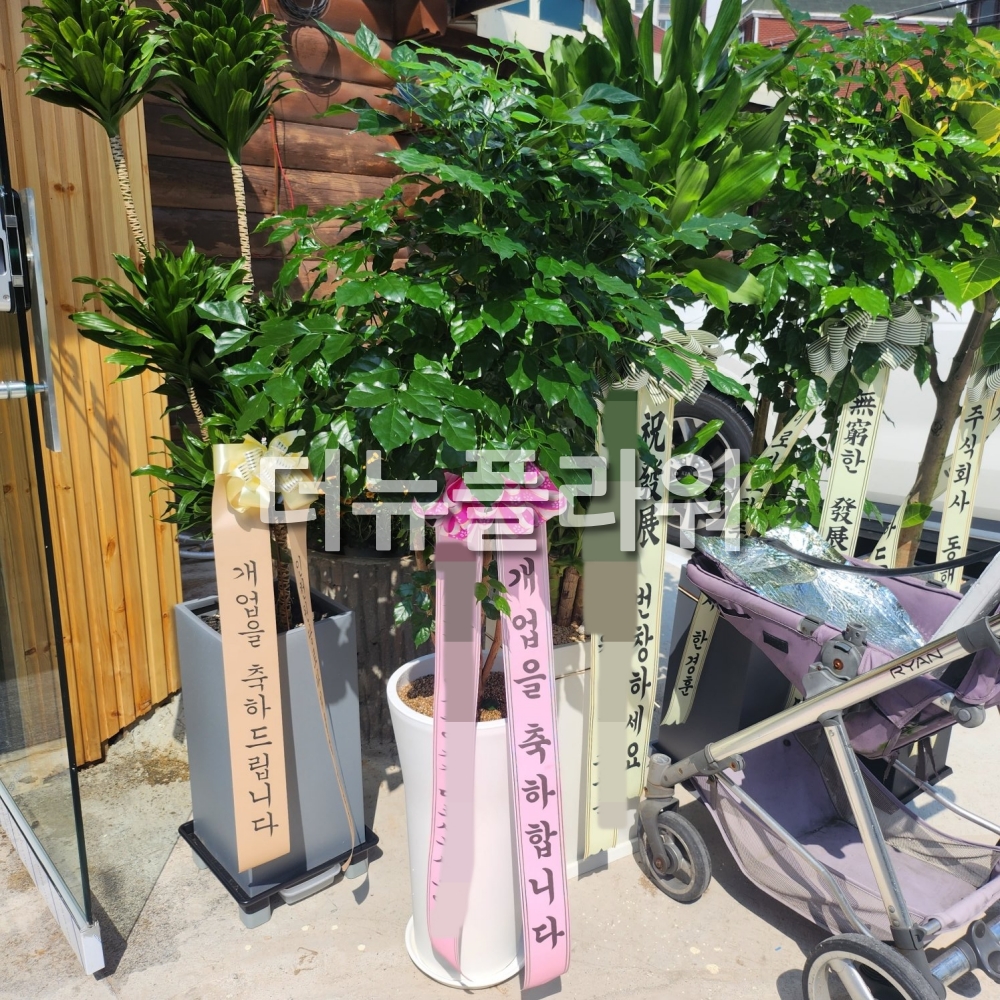 배송 완료 사진 48