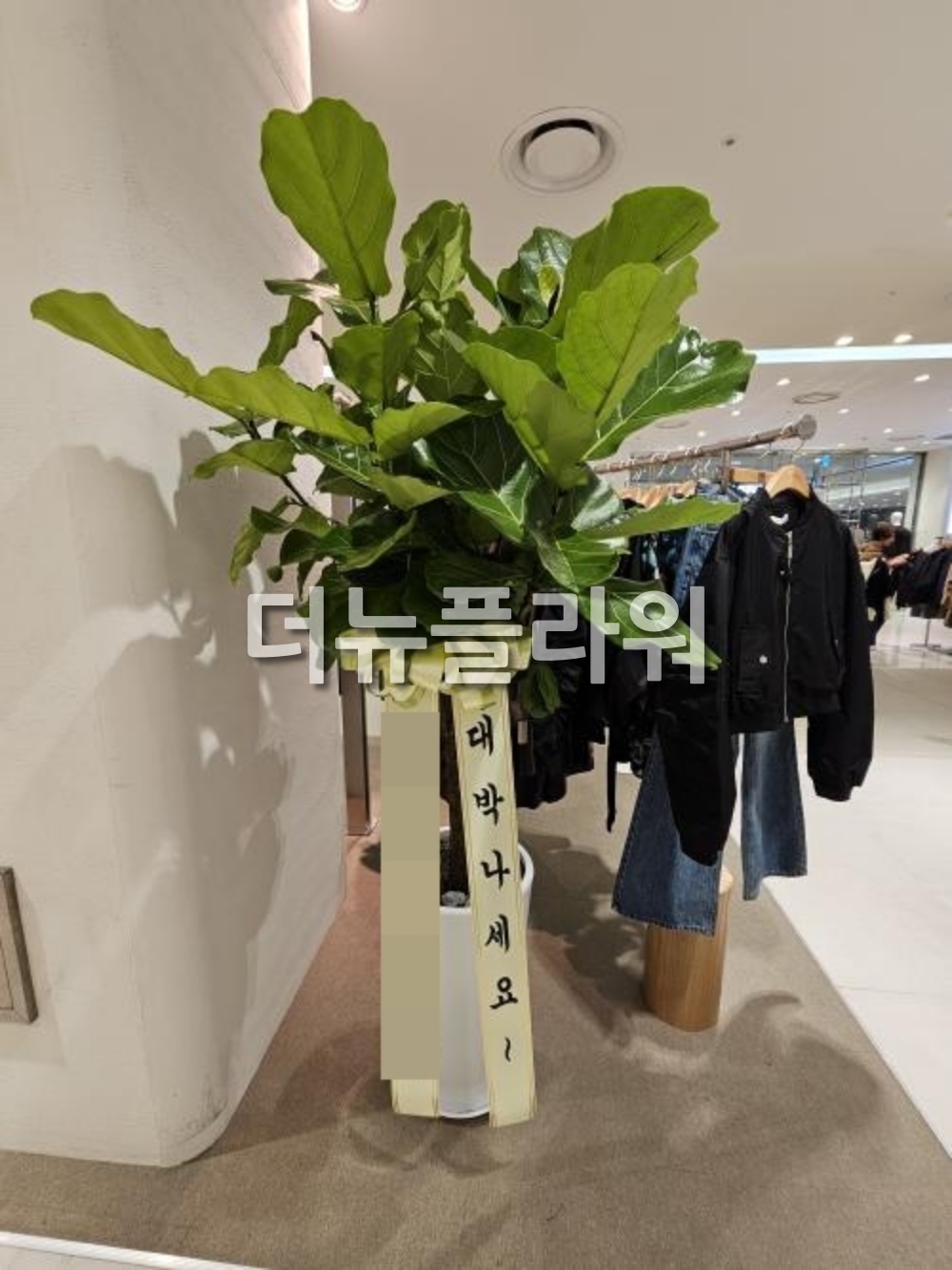 배송 완료 사진 40