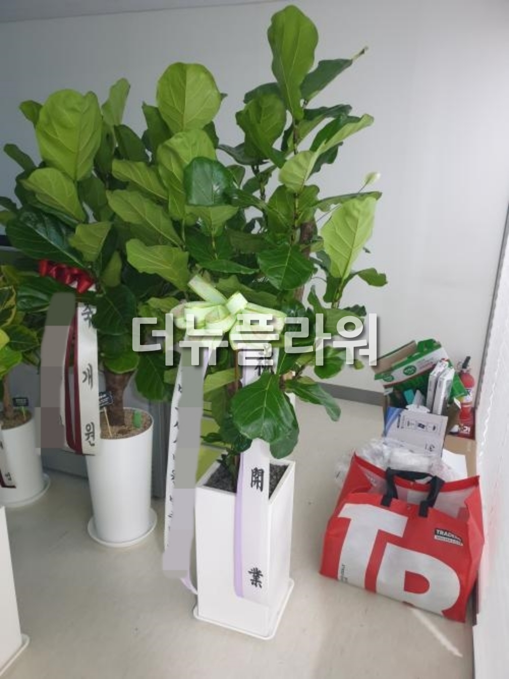 배송 완료 사진 33