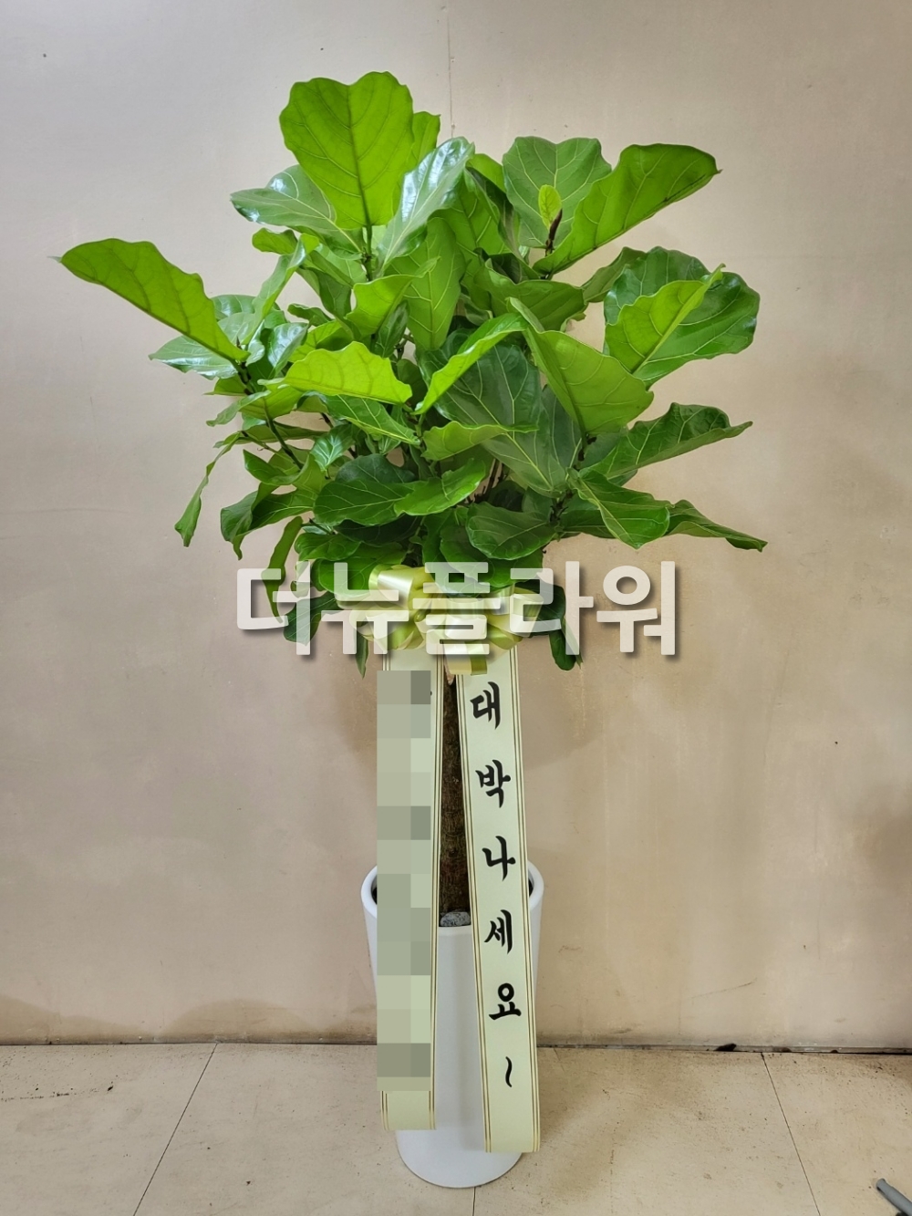 배송 완료 사진 51