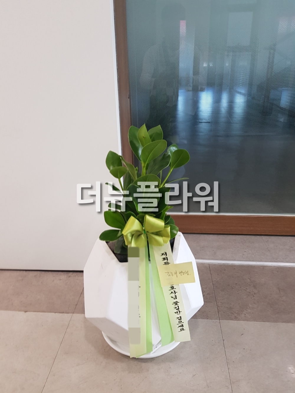 배송 완료 사진 84