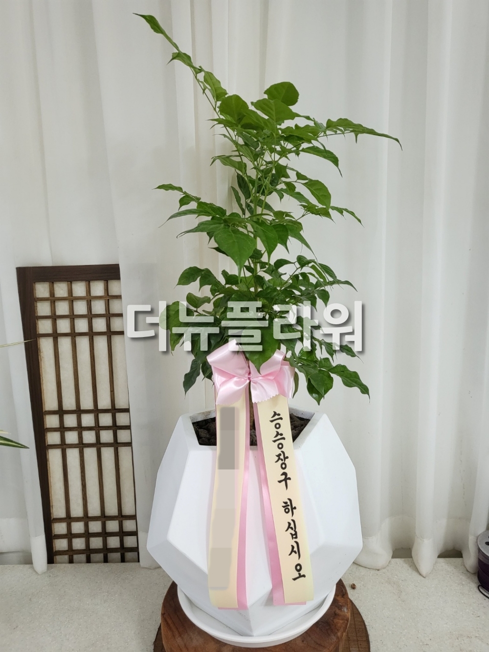 배송 완료 사진 79