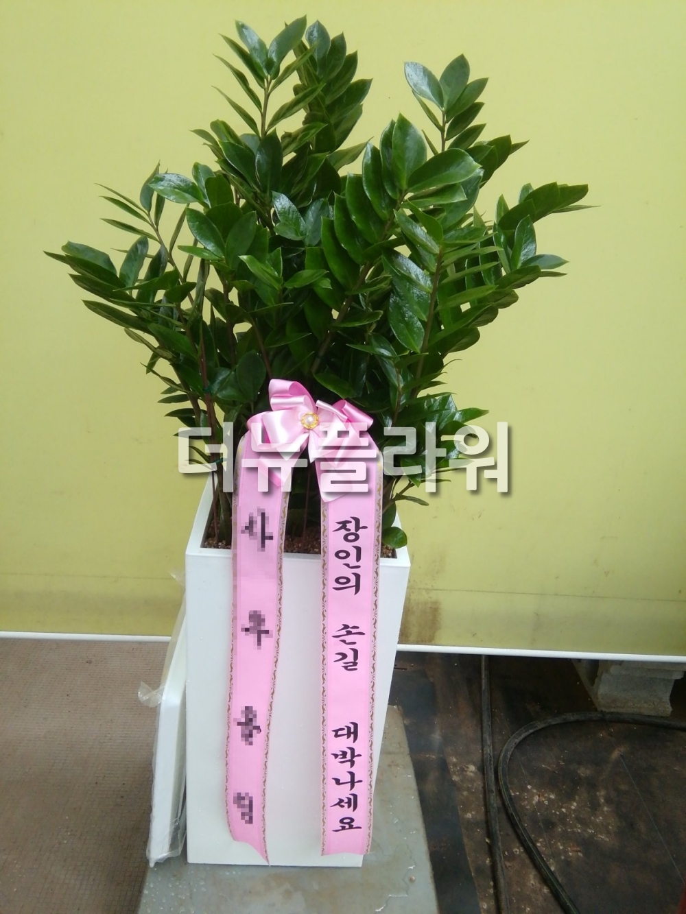 배송 완료 사진 50