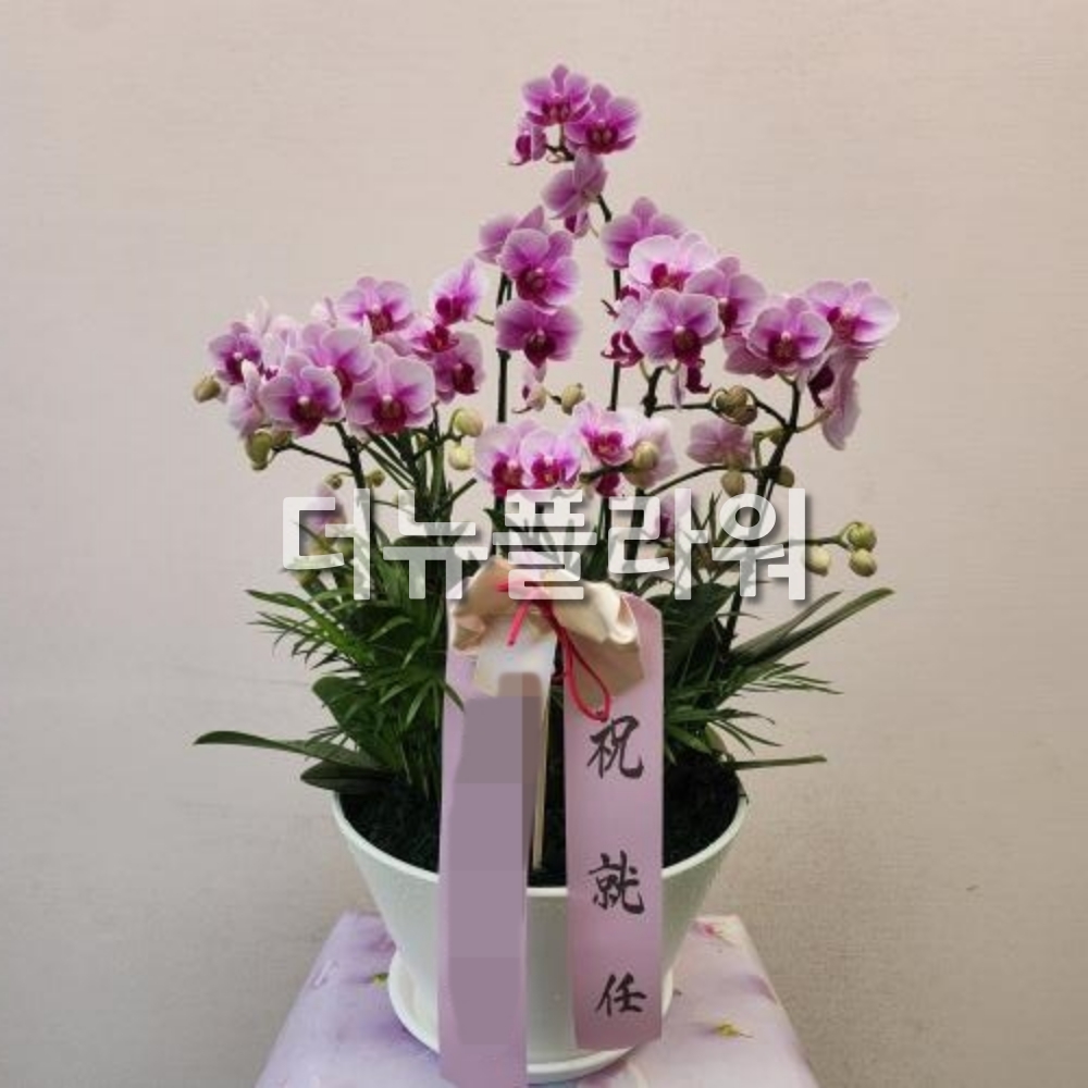 배송 완료 사진 57