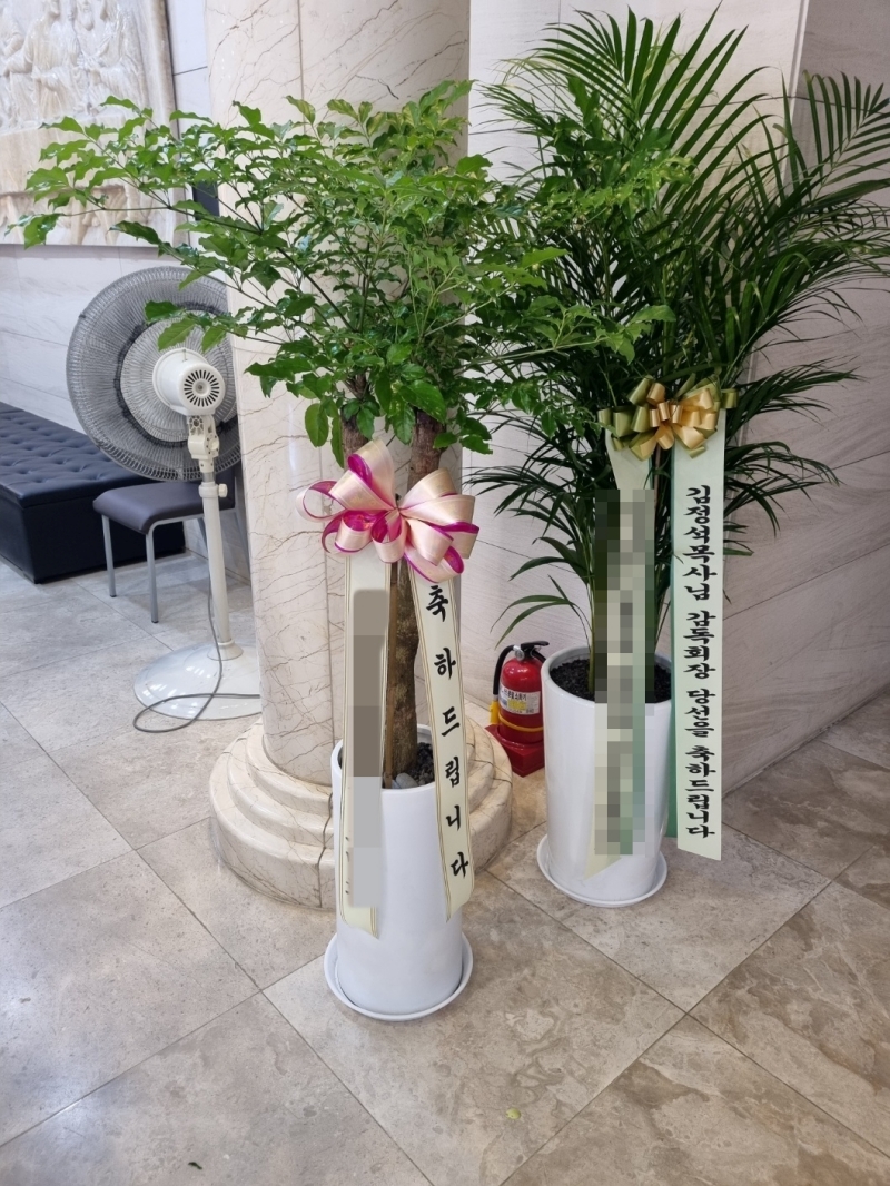 배송 완료 사진 25