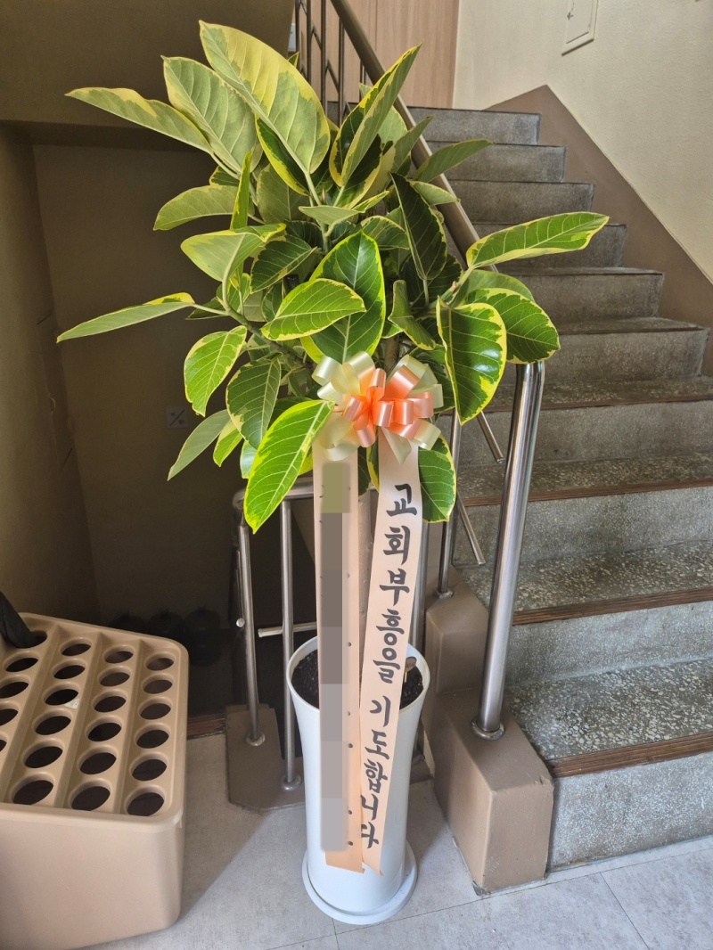 배송 완료 사진 22