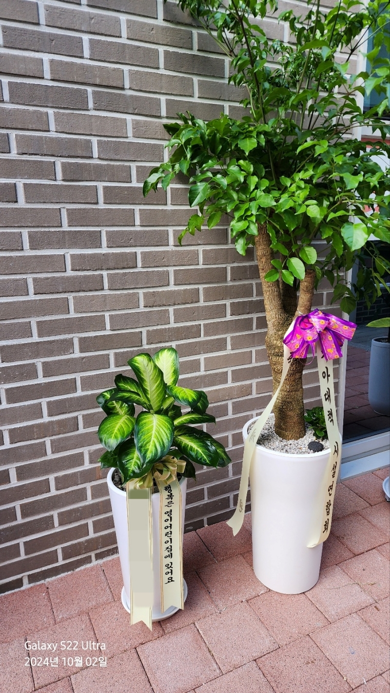 배송 완료 사진 10