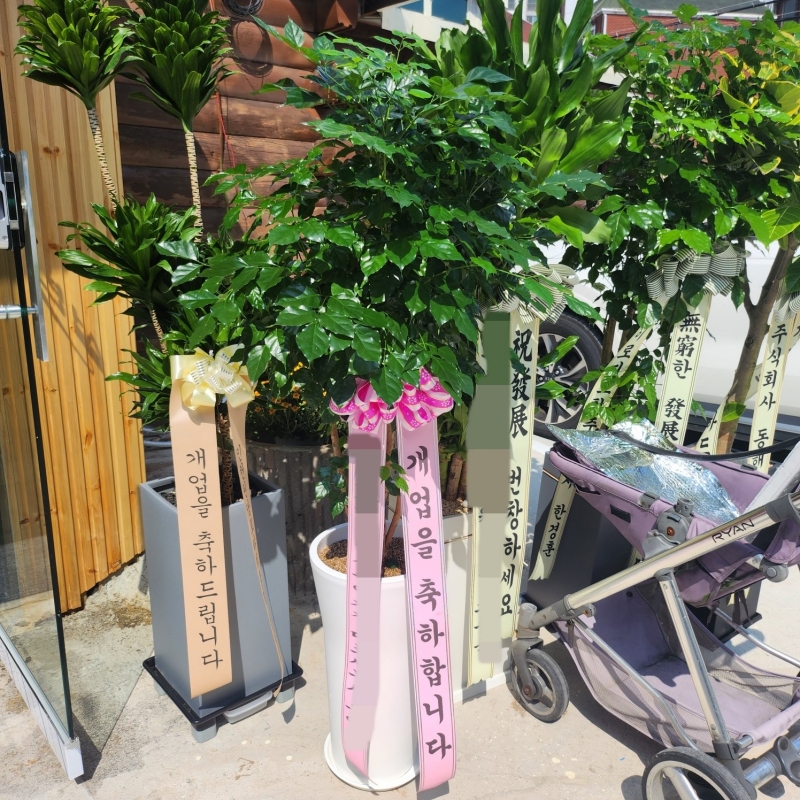 배송 완료 사진 4