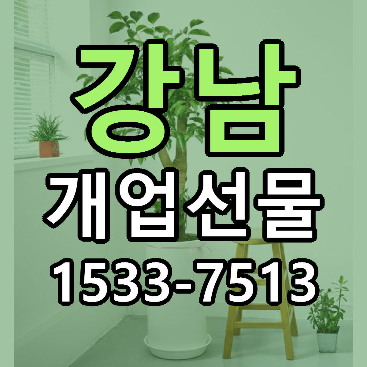 강남 개업선물 당일배송 가격 저렴한곳 추천